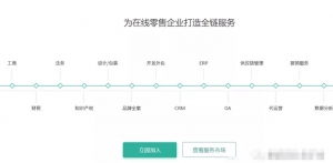 友好速搭赚钱项目，虚拟模板年入十万插图2