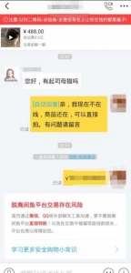 闲鱼引流宠物粉卖阿猫阿狗一单利润1000+，你干不干？插图3