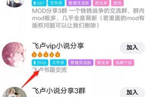 小说推广项目，轻松引流，无脑月赚上万