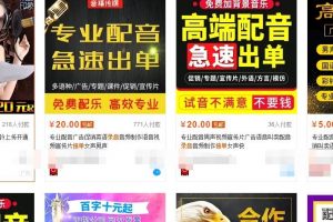 音频吸粉赚钱项目，简单操作月入过万