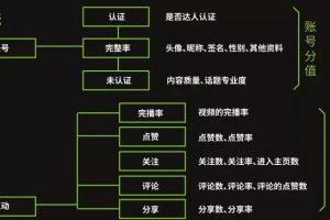 一套模板快速变现，小白也能做的抖音垂直号