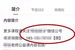 如何操作暴利的风水网络赚钱项目！