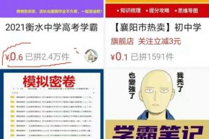 百倍获利赚钱项目：销售虚拟学习资料，如何日入过百元？