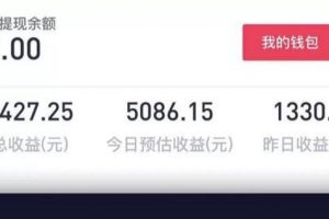 [抖音小程序实战教程]0基础小白每天躺赚6000+的抖音小程序实战教程