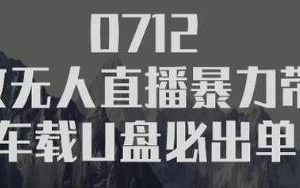 树敌习研社抖音无人直播暴力带货车载U盘必出单，单号单日产出300纯利润