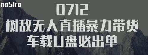 树敌习研社抖音无人直播暴力带货车载U盘必出单，单号单日产出300纯利润插图