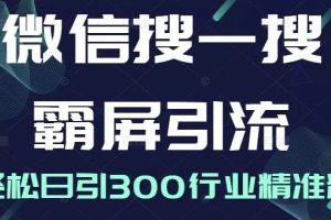 微信搜一搜怎么做推广，微信搜一搜霸屏引流课轻松日引300行业精准粉