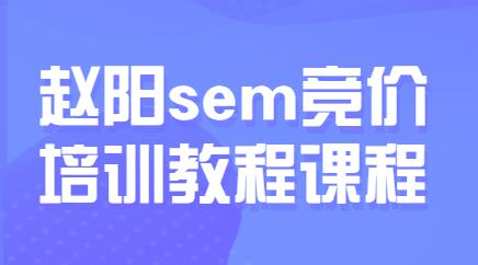 赵阳sem百度竞价排名优化教程30期培训课程视频