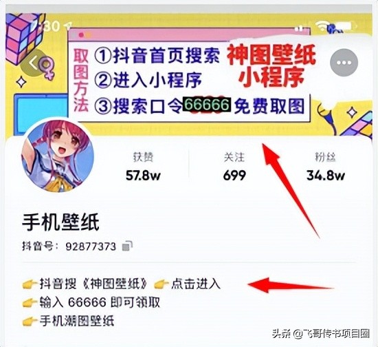 抖音壁纸号项目，月入16000元，简单易上手