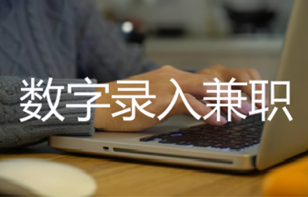 数字录入零工项目，在家也能轻松赚钱