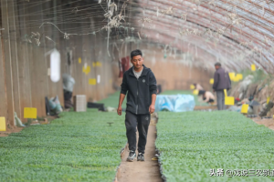 创业做什么好成本低,农村集市上的小生意远比外出打工赚得多