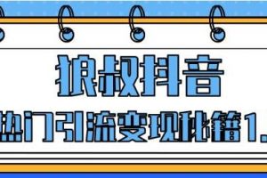 狼叔抖音培训课程，抖音热门引流变现秘籍1.0