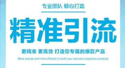 引流培训高级课，教你被动引流日均100+精准客户