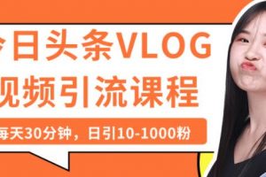 今日头条VLOG视频引流技术，每天30分钟，日引10-1000粉