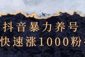 抖音暴力养号《三天快速涨1000粉技术》