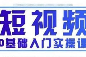 抖音短视频0基础入门实操课(变现+营销+定位+运营+制作+涨粉)