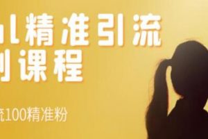 《SOUL精准引流系列课程》每天引流100精准粉