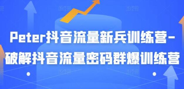 《PETER抖音流量新兵训练营》破解抖音流量密码群爆训练营