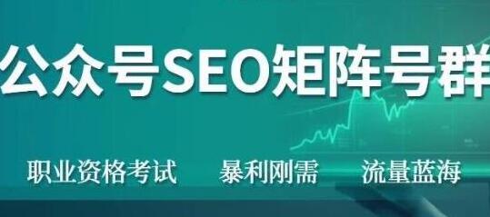 高鹏圈《公众号SEO矩阵号群项目》实操20天纯收益25000+，普通人都能做