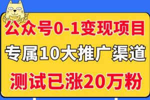 《5个公众号从0-1变现项目》公众号专属10大推广渠道，测试已涨20万粉！