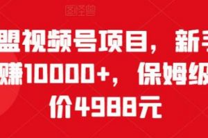 猎人联盟《视频号项目》新手0基础轻松月赚10000+，保姆级教程