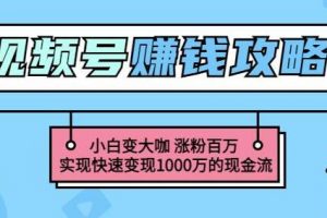 《玩转微信视频号赚钱》小白变大咖涨粉百万，实现快速变现