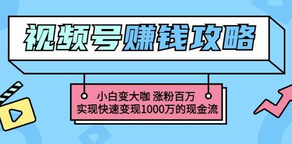 《玩转微信视频号赚钱》小白变大咖涨粉百万，实现快速变现