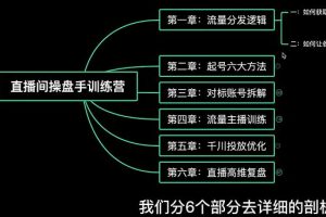 颖儿爱慕《直播间操盘手系列课程》学实战才能干的直播带货运营课