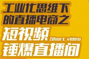 直播带货短视频怎么做,《工业化思维下的直播电商之短视频锤爆直播间》听话照做执行爆单