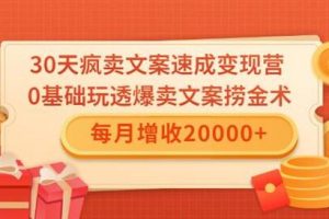 文案怎么写，0基础30天疯卖文案速成变现营，每月增收20000+