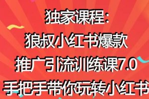 小红书怎么推广，狼叔小红书爆款推广引流7.0，带你玩转小红书推广