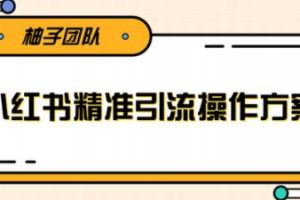 小红书精准引流操作方案，能够直接落地实操引流技术