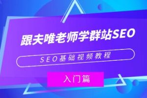 夫唯《群站seo优化教程视频》SEO基础视频教程