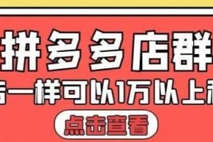 大凯电商《拼多多店群运营》单店一样可以产出1万5以上利润