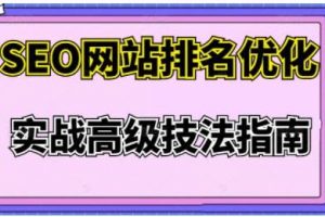 樊天华《SEO网站排名优化》实战高级技法指南