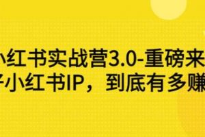 谢无敌《小红书实战营3.0》带你打造小红书提款机