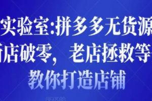 野路子实验室《拼多多无货源店群项目》新店破零，老店拯救等全方位教你打造店铺