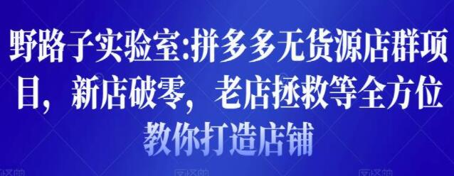 野路子实验室《拼多多无货源店群项目》新店破零，老店拯救等全方位教你打造店铺