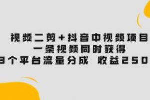 《视频二剪+抖音中视频项目》一条视频获得3个平台流量分成 收益250%