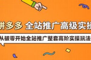 《拼多多全站推广高级实操》从破零开始全站推广整套高阶实操玩法