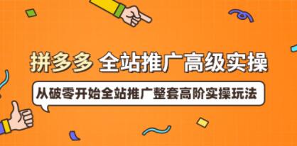 《拼多多全站推广高级实操》从破零开始全站推广整套高阶实操玩法