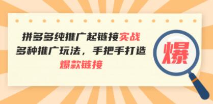 《拼多多纯推广起链接实战》多种推广玩法，手把手打造爆款链接