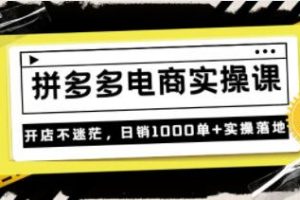 《拼多多电商实操课》开店不迷茫，日销1000单+实操落地