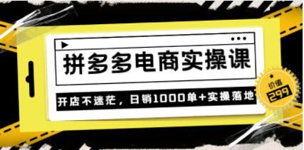 《拼多多电商实操课》开店不迷茫，日销1000单+实操落地