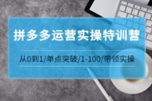 青云《拼多多运营实操特训营》从0到1单点突破,1-100带领实操