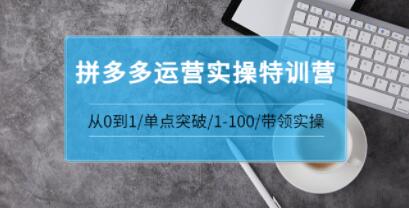 青云《拼多多运营实操特训营》从0到1单点突破,1-100带领实操