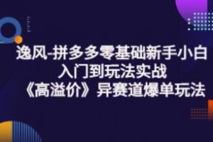 逸风《拼多多高溢价冷启动》异赛道爆单玩法实操课