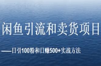 闲鱼项目引流卖货，日引100粉和日赚500+实战技巧视频教程