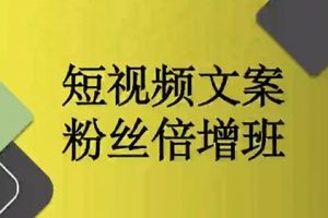 阳洋《短视频文案粉丝倍增班》培训课程视频