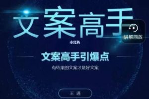 王通《个人ip文案引爆点》方案写作技巧课程视频